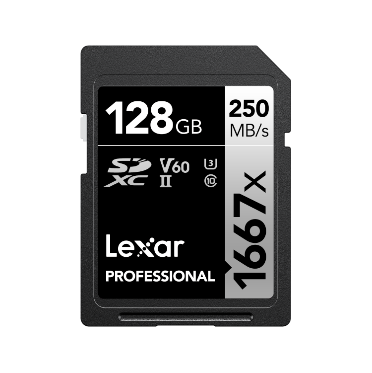 LEXAR Professional Silver 1667x | R250/W80 MB/s SDXC™ Cards