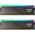Adata XPG DDR5 RGB RAM 2 stick